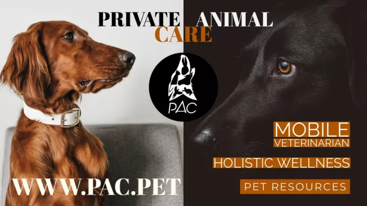 Private Animal Care, California, Glendale